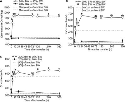 Dynamic Regulation of Ions and Amino Acids in Adult Asian Hard Clams Meretrix lusoria Upon Hyperosmotic Salinity